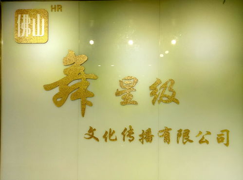 佛山舞星级文化传播 融合传统与现代的艺术使者