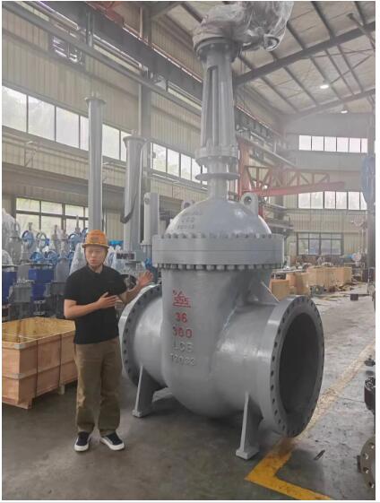 行走阀门江湖数十载！挺宇流体智能化新工厂预计2026年10月投入使用，开启文化传播新篇章